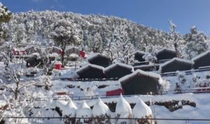 Caamp Awara Kanatal Hill side