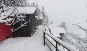 Snow Full Camp